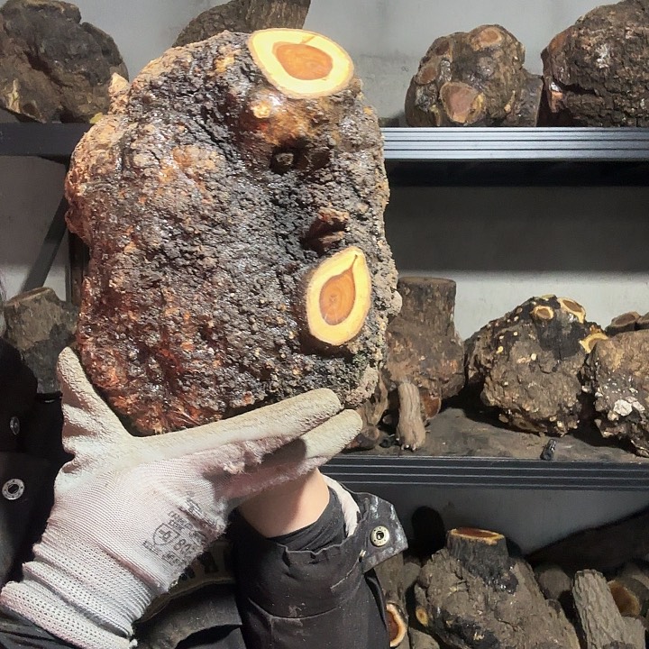 用***6香榧木火琉璃的故事是一个人在