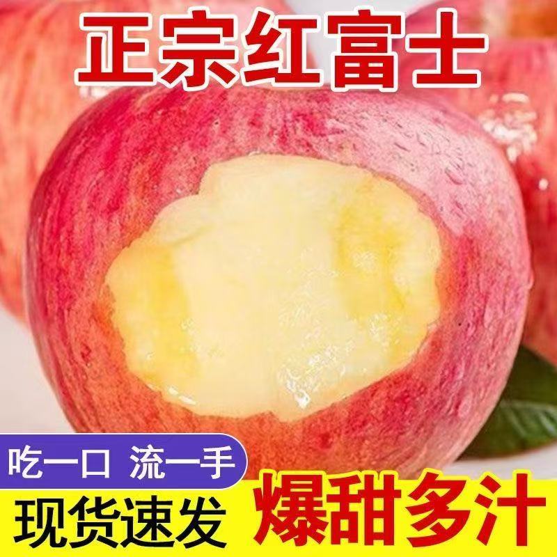 【烟台直发】山东烟台新鲜采摘红富士当季苹果香甜可口肉厚多汁