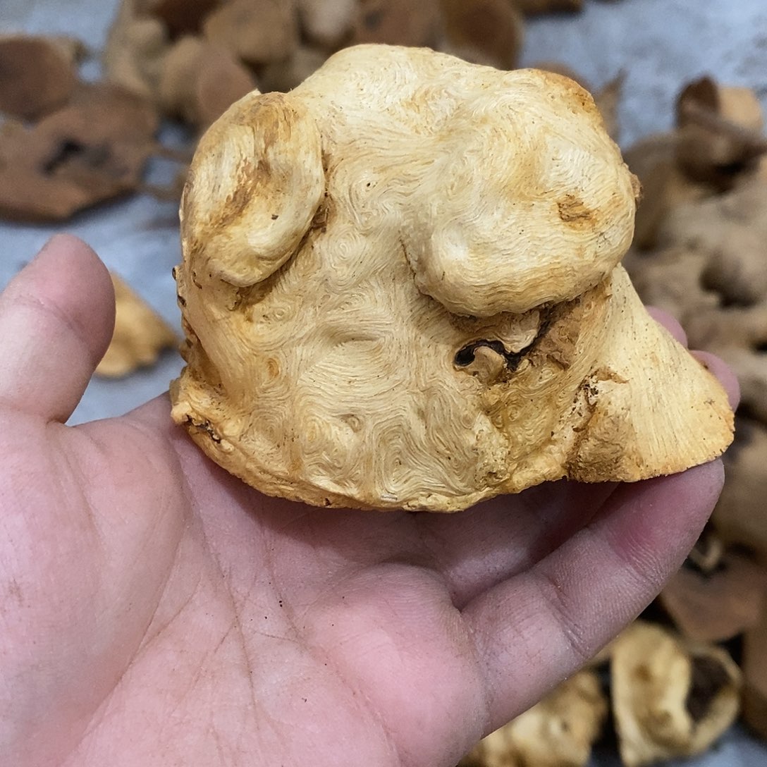 小***4荔枝木荔枝木原料