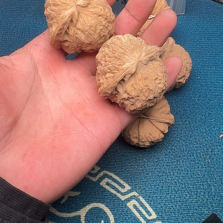 棕***胖吊坠文玩核桃哈哈哈哈哈哈