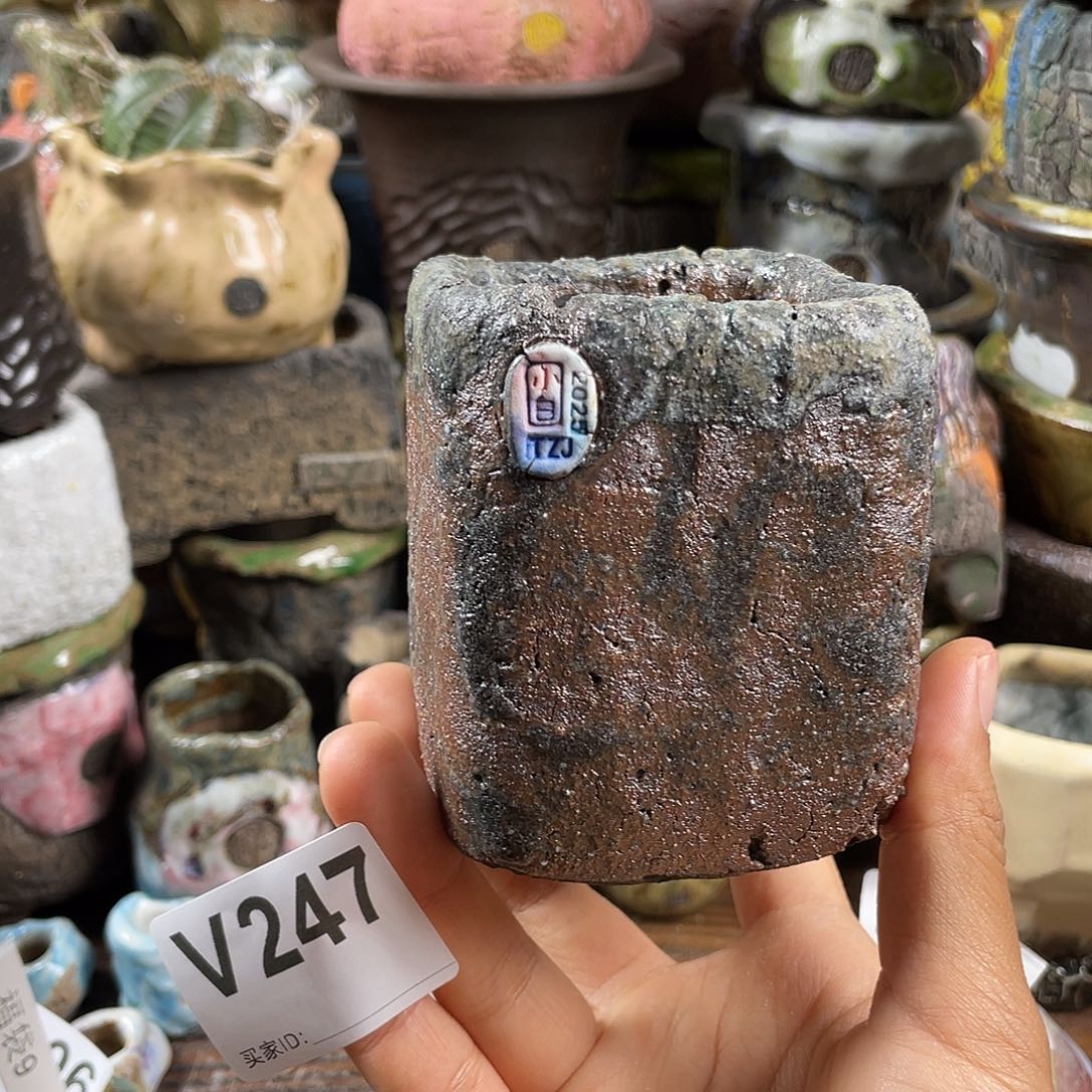 默认微次  限时福利 坛子姐花盆