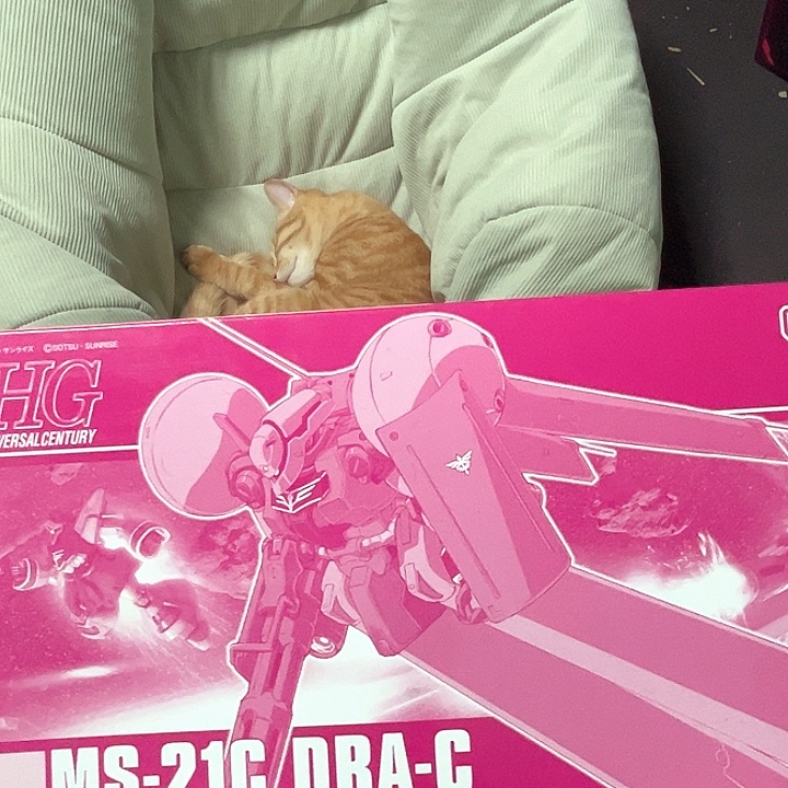 扎***s模型随机扭蛋随机扭蛋随机