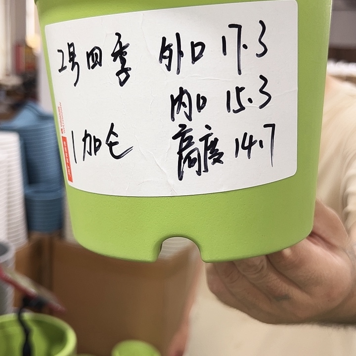 四季2号特价口17高14混色10个带托