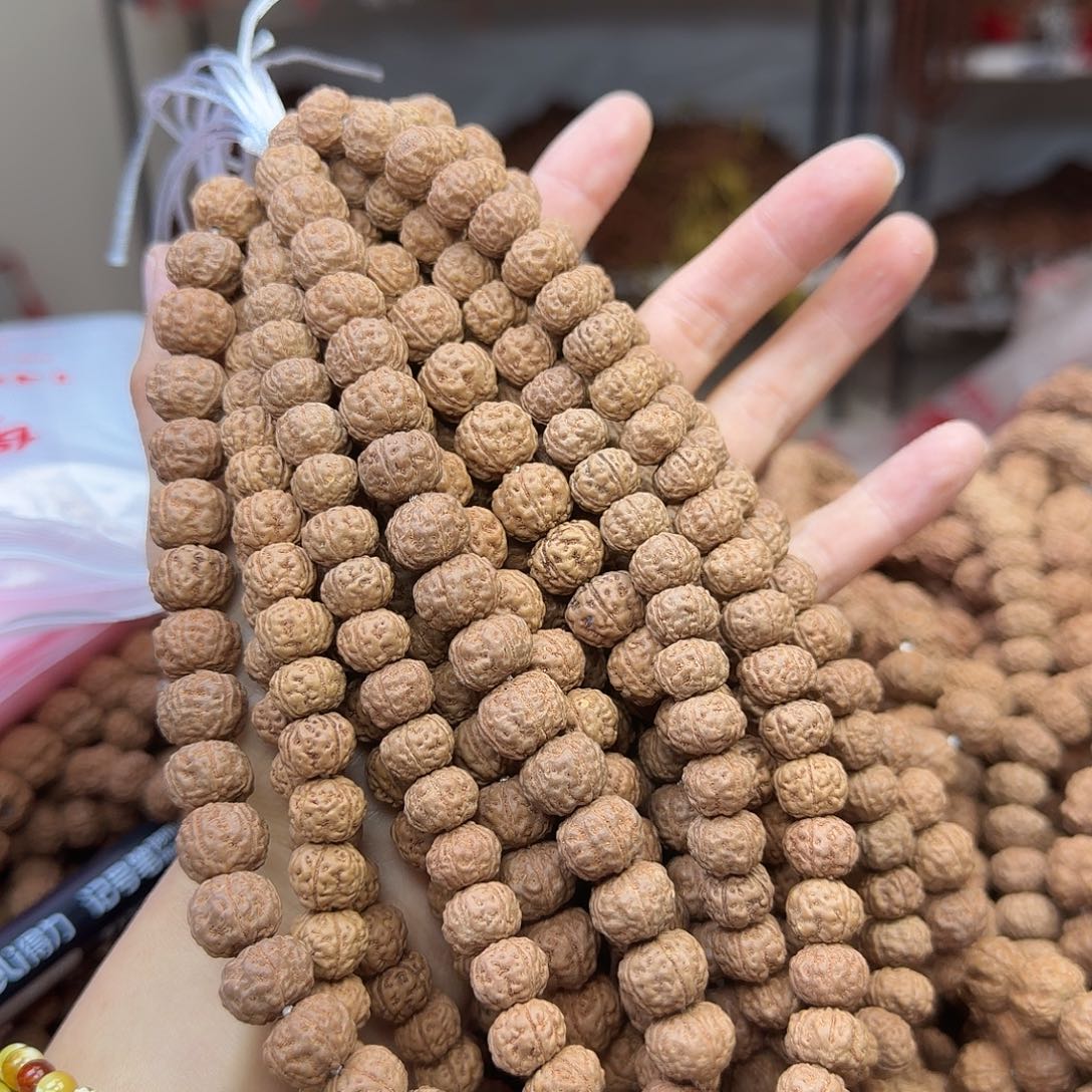 金刚菩提吊坠老树王手持1条有备籽非全品