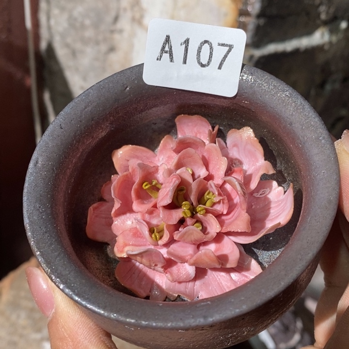 柴烧裸烧源头产地