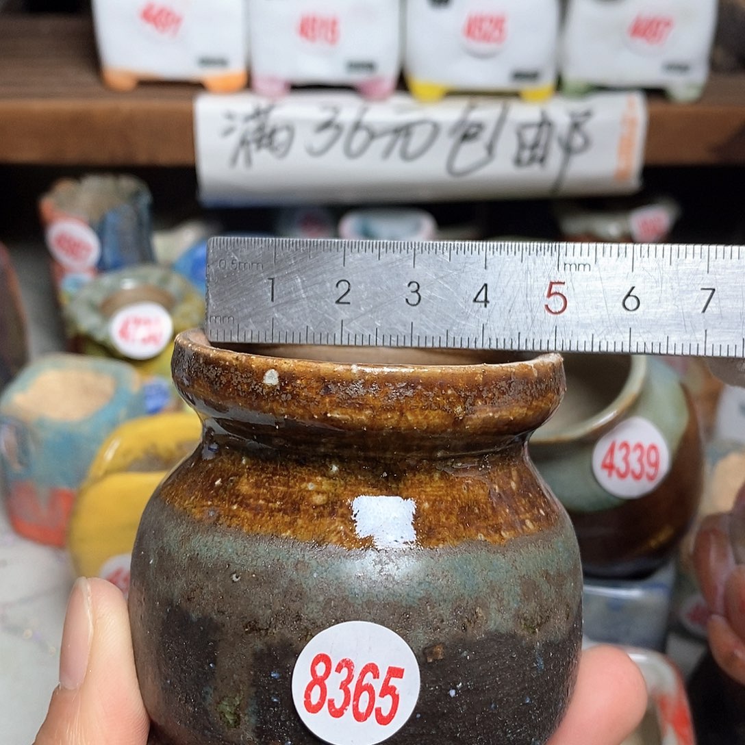 红陶拍5送一个小