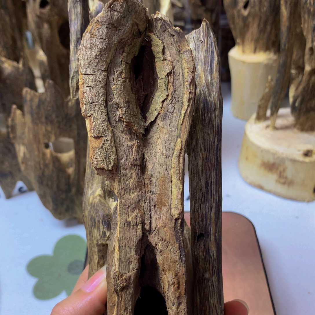 沉香沉香碎屑陆河天然虫漏105克