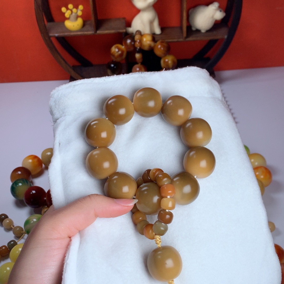 吊坠菩提根/象牙果2.3 全品