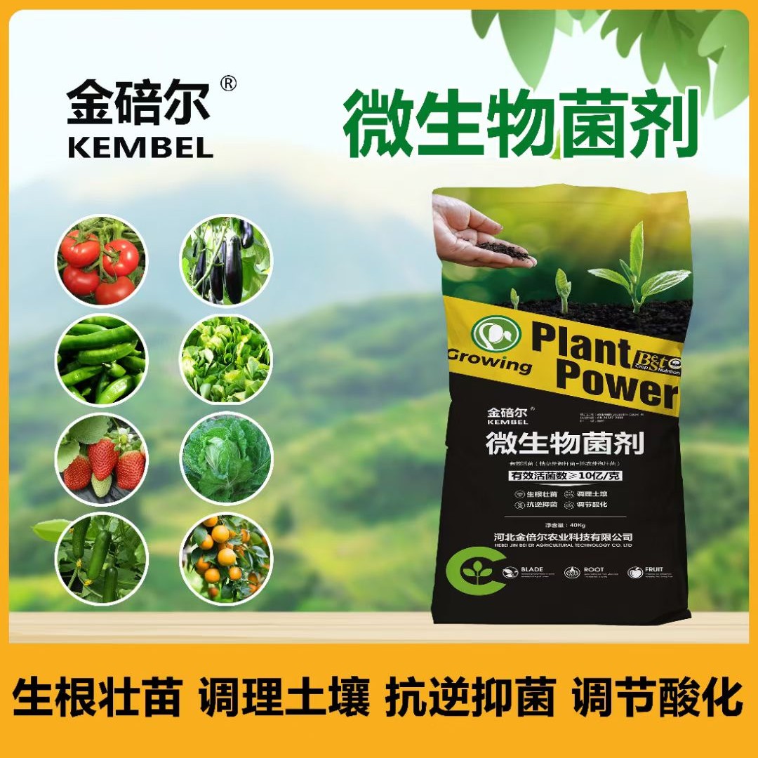 微生物菌剂（80斤包邮到家）底肥生根壮苗调节土壤