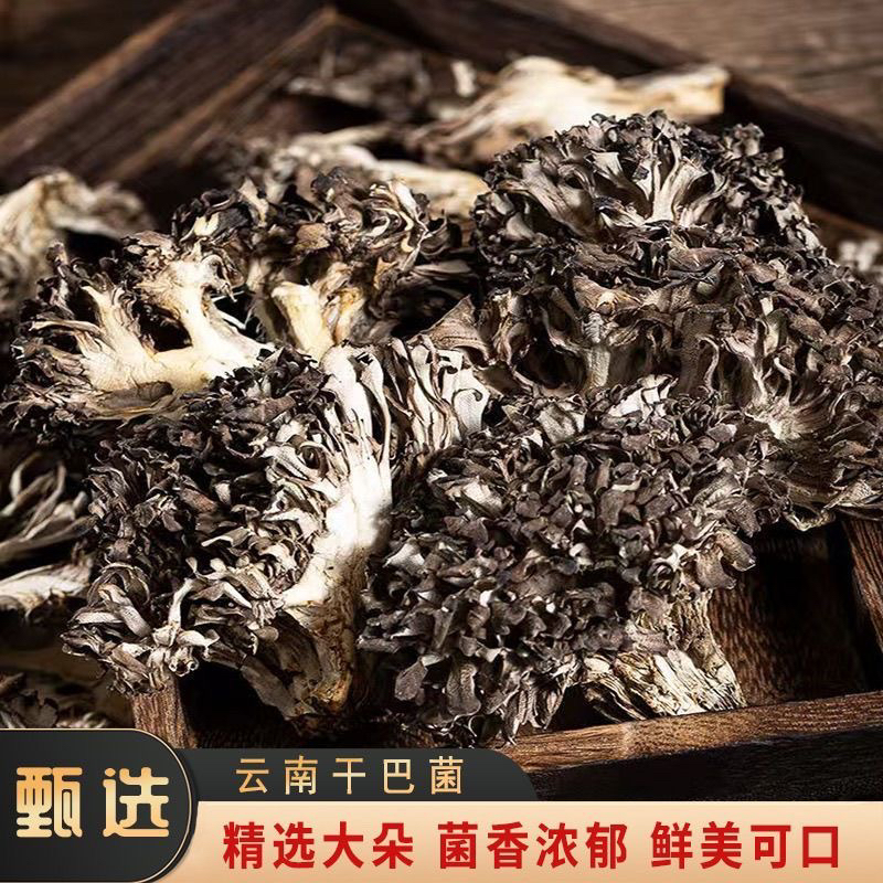 Z云南特产种植干巴菌精美包装灰树花干无泥沙非特级舞茸菌栗香菇