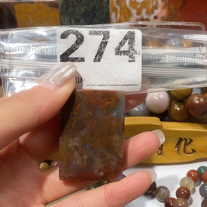硅化玉未镶嵌天然北票树化玉吊坠