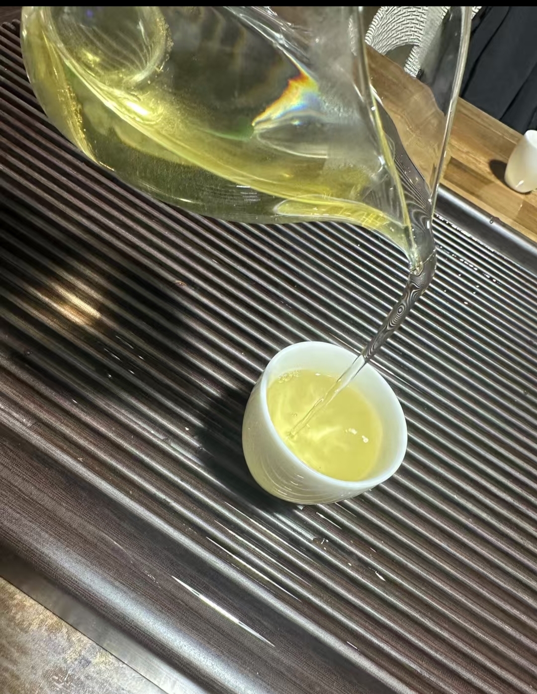 2025年梅子箐头春单株