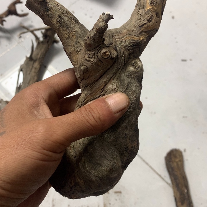 南***模无花朵今天晚上在学校吃饭