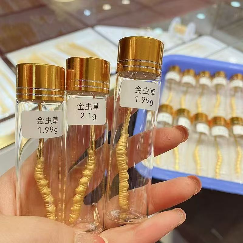 金冬虫夏草