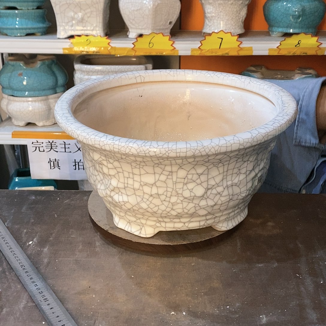 小*花盆花盆里的花都