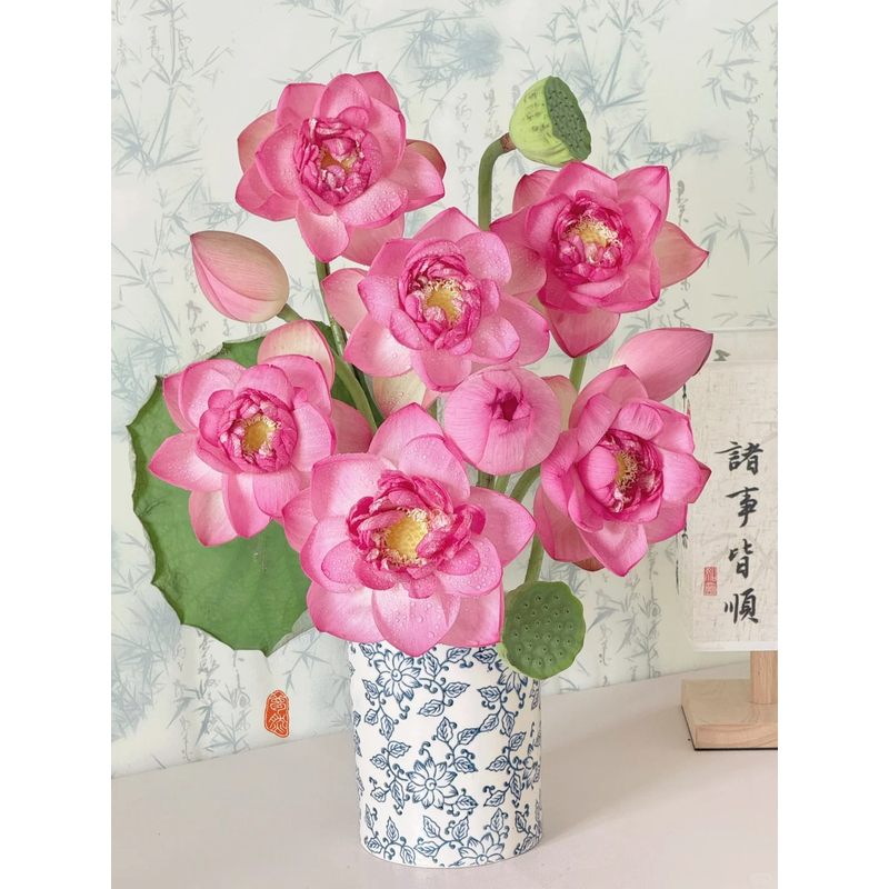 【荷花】 一单包邮 云南鲜花昆明基地现采现发