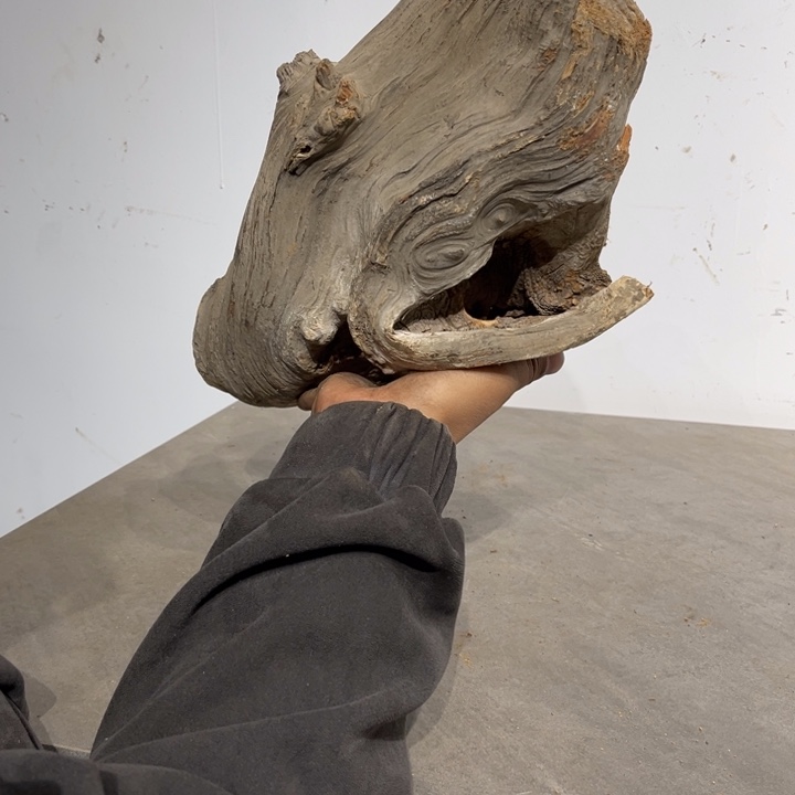 快***仙柏木崖柏等自然景区和自然风光