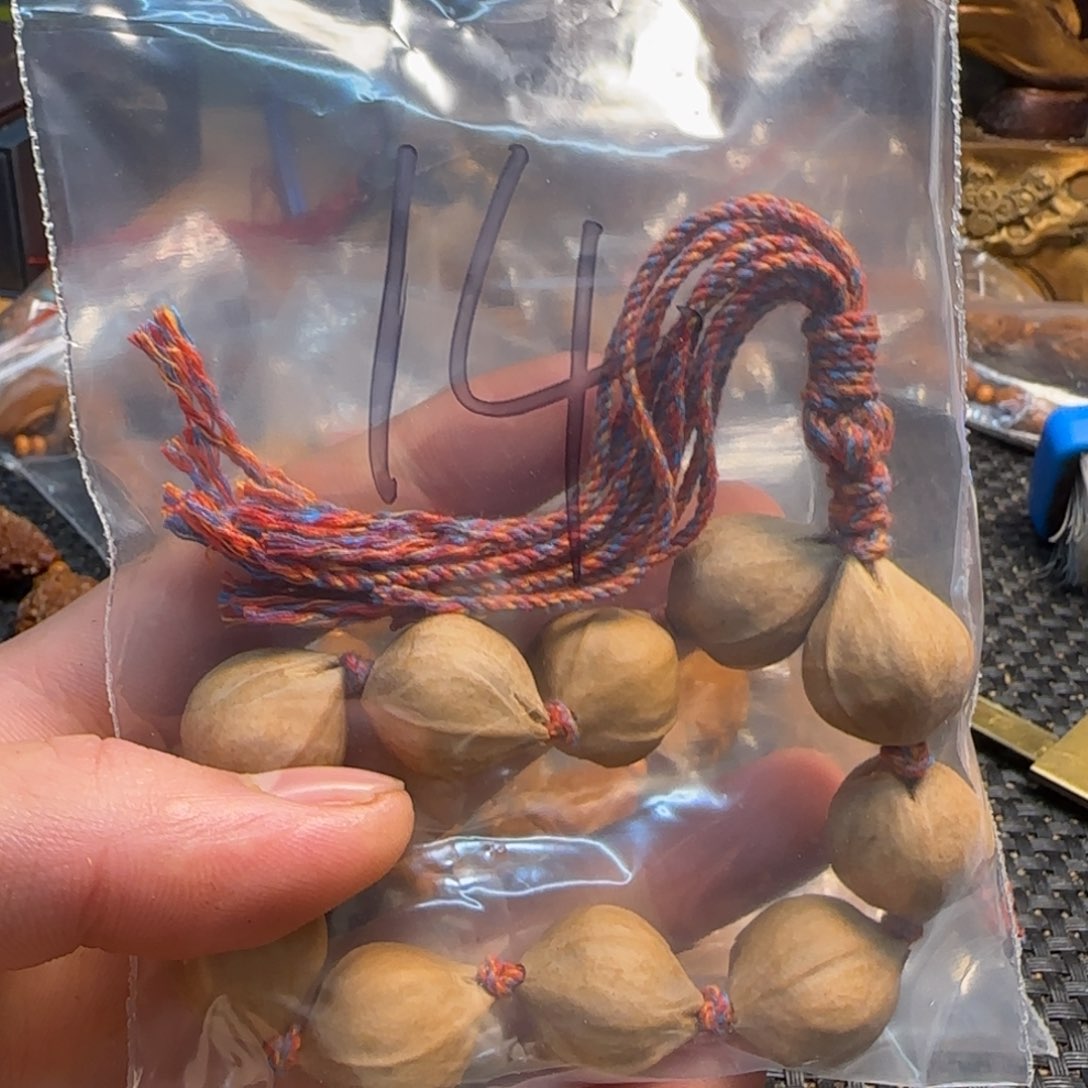 橄榄核手串/手链福利手串