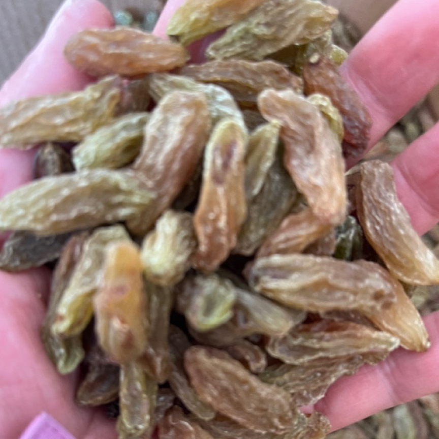 新疆特产原色无清洗香妃大颗粒葡萄干自然风干