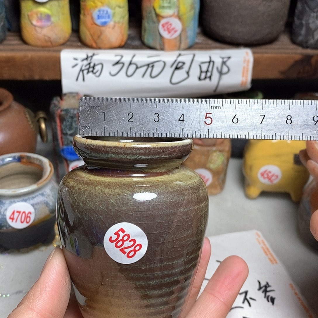 红陶拍5送一个小