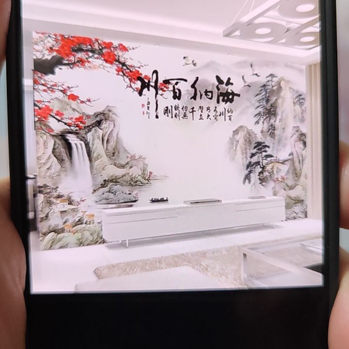白***棠客厅电视墙壁画壁布
