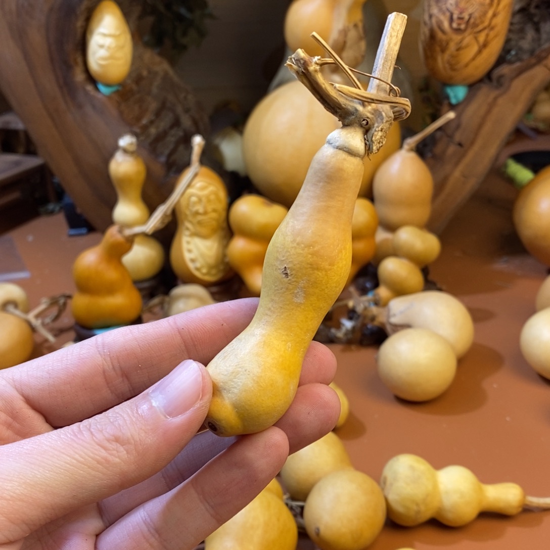 七***福啊教练教练教练教练啦