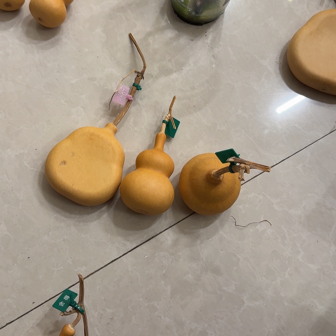 无***常舎得出品精选葫芦SHEDE