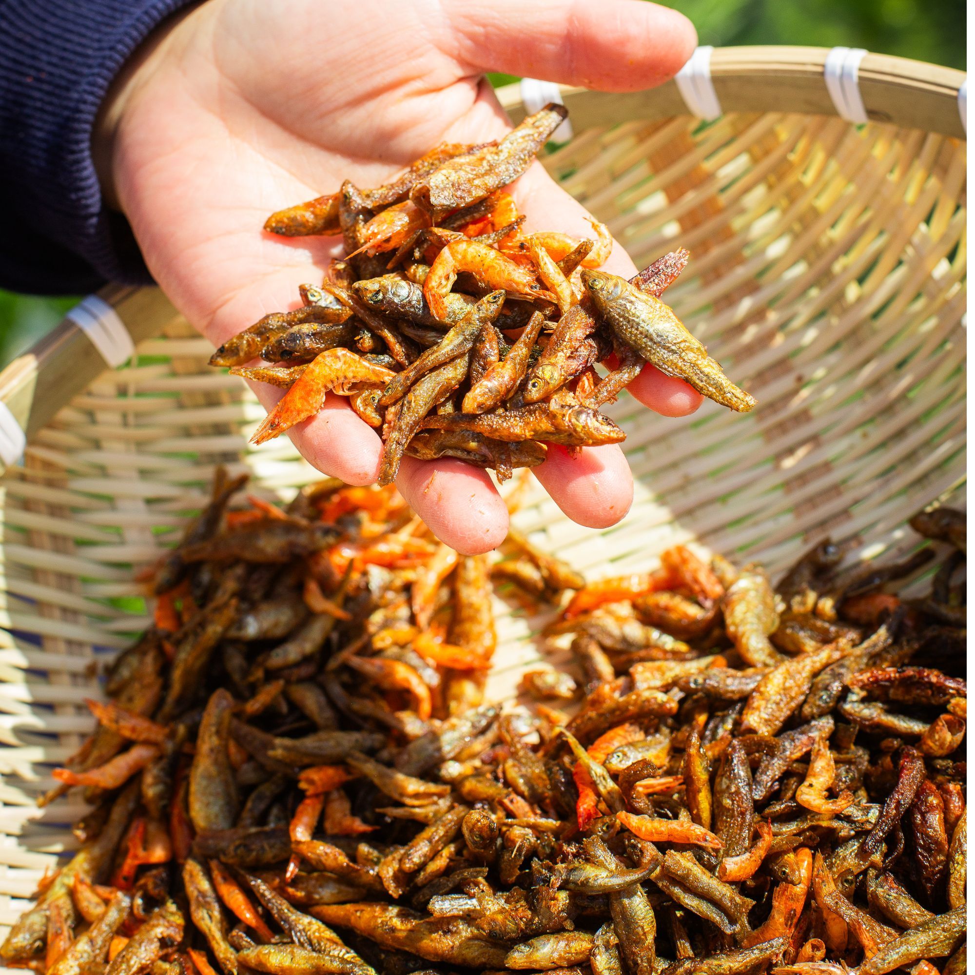 （村委助农）幕阜乡味农家手工制作火焙鱼烘焙小鱼小虾干货250g一包