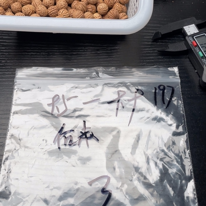后***j私人定制不退不换588