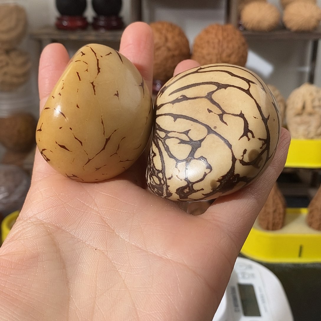 吊坠文玩核桃?**❀象牙果2颗