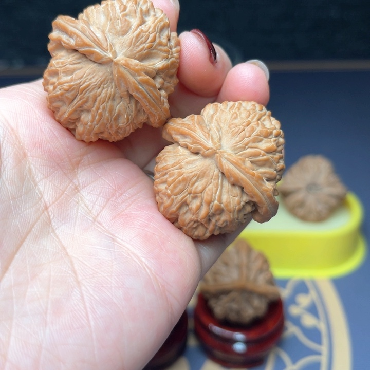 文玩核桃把件36全品白狮子