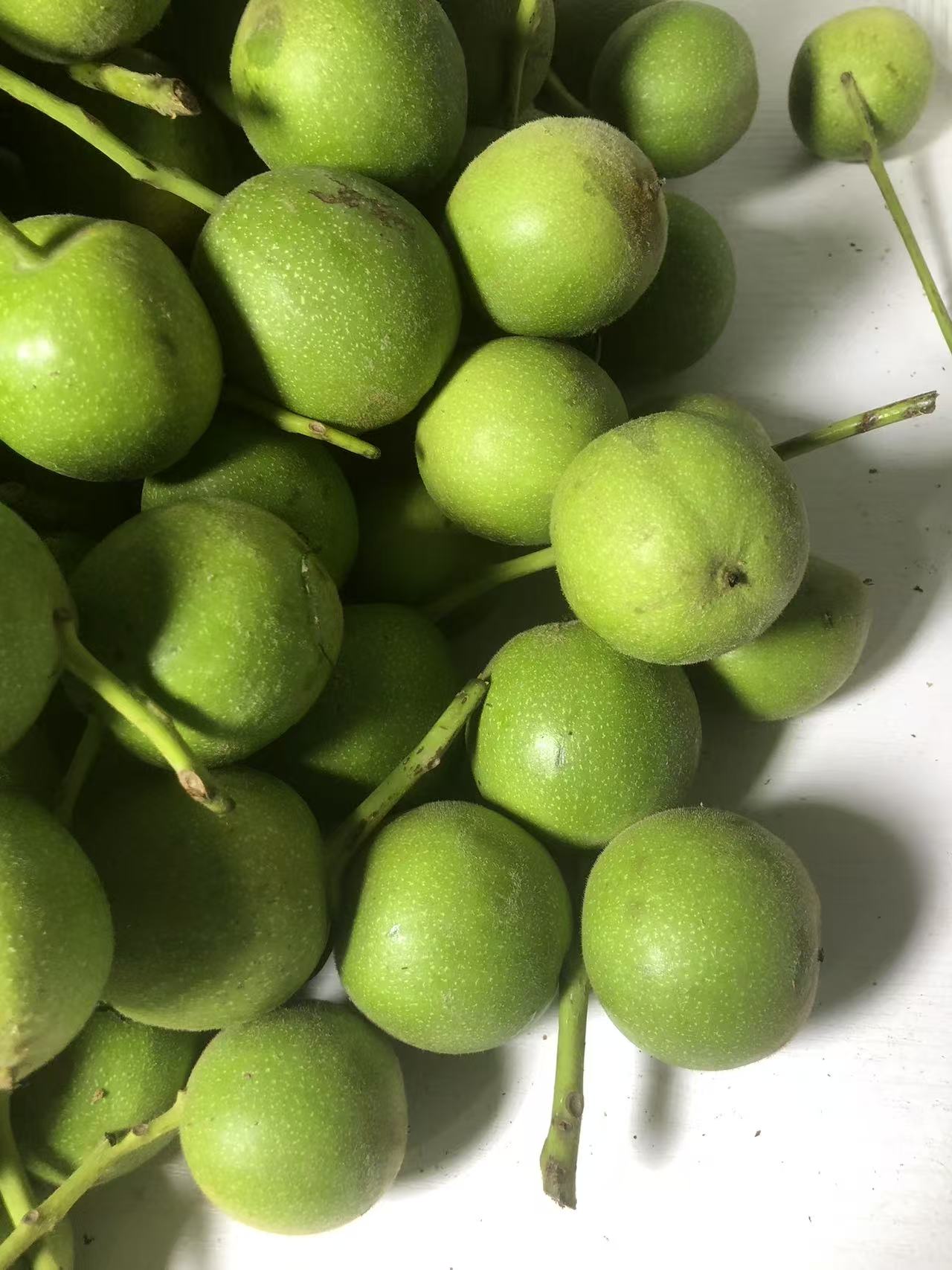 盘山新摘青皮大果