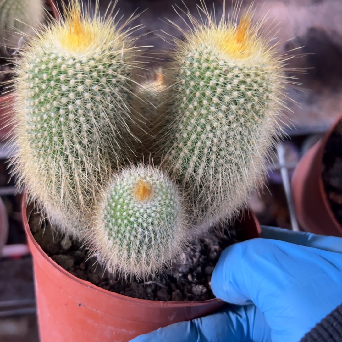 苏***U哈哈哈哈哈哈哈哈哈哈