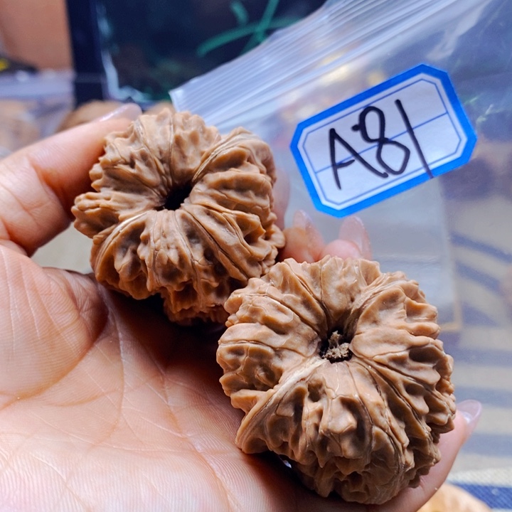 G***藏把件文玩核桃闷墩