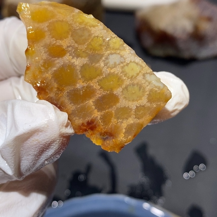 【闪购商品】未镶嵌珊瑚玉硅化玉