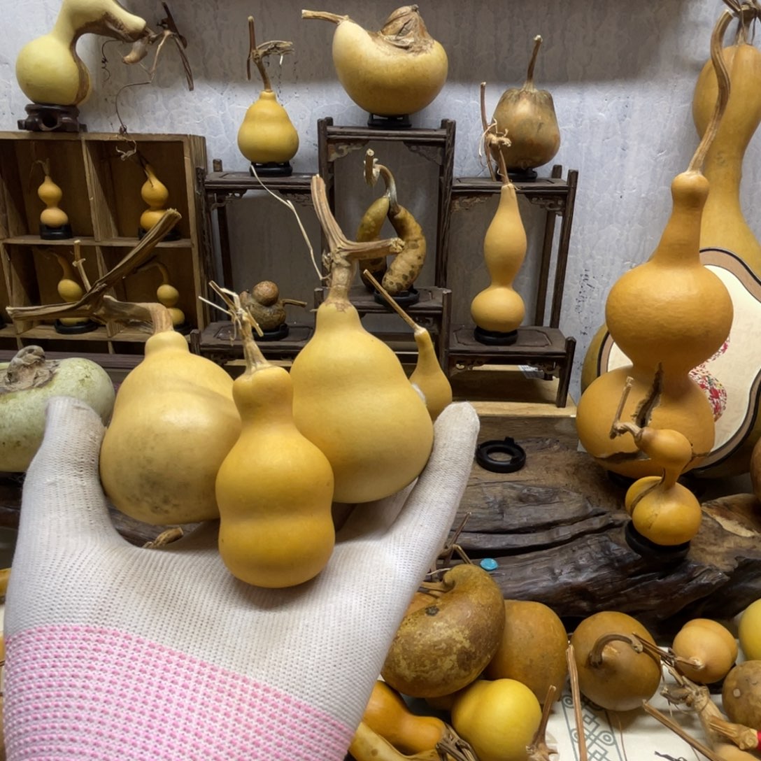 前***3葫芦葫芦葫芦葫芦