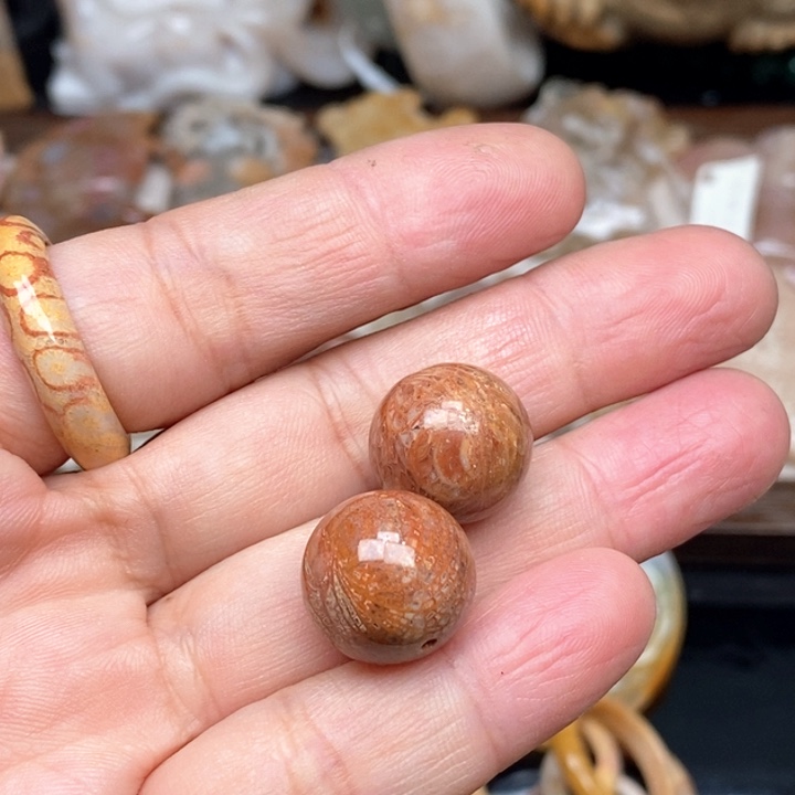 硅化珊瑚（珊瑚玉）手镯未镶嵌14.7