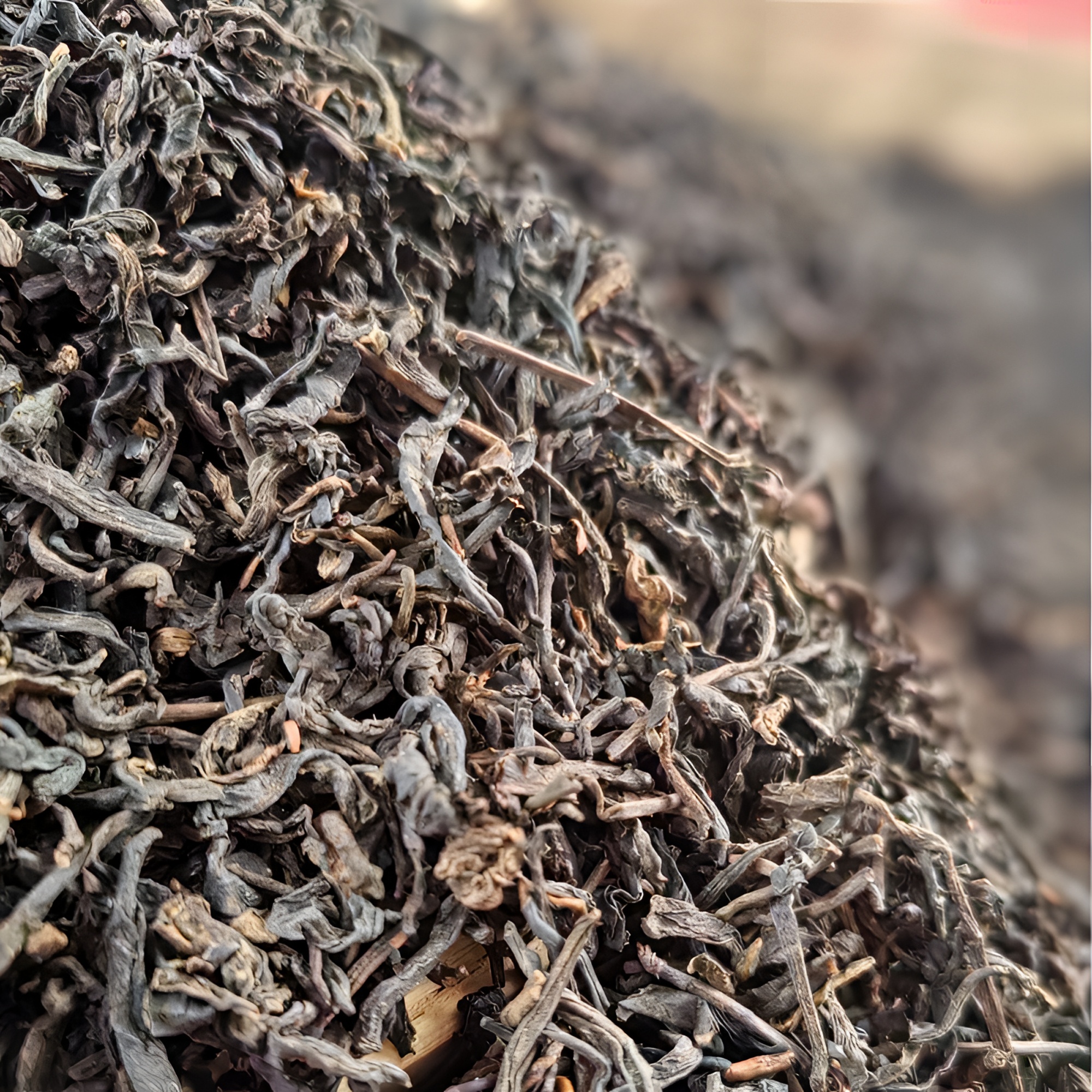 【老板娘私藏高货】满小茉 2002檀木香六堡茶 一级 广西梧州黑茶