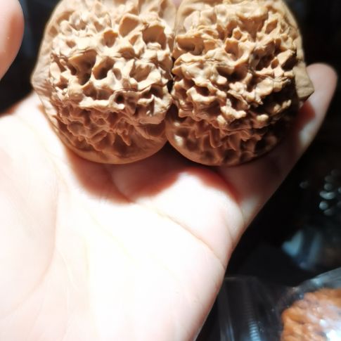 猴头核桃吊坠48龙鼎