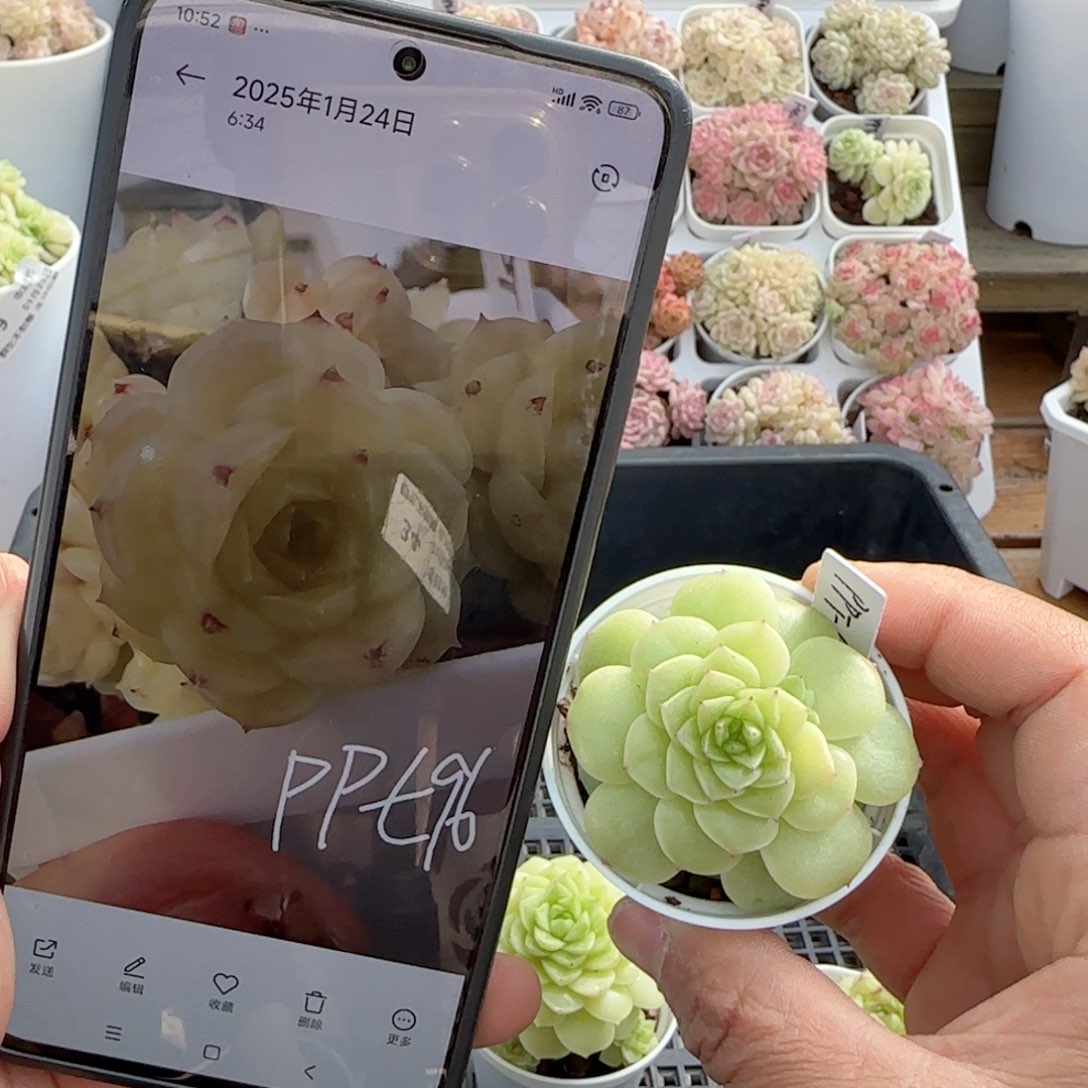 【闪购商品】0124-43（ppt-96）