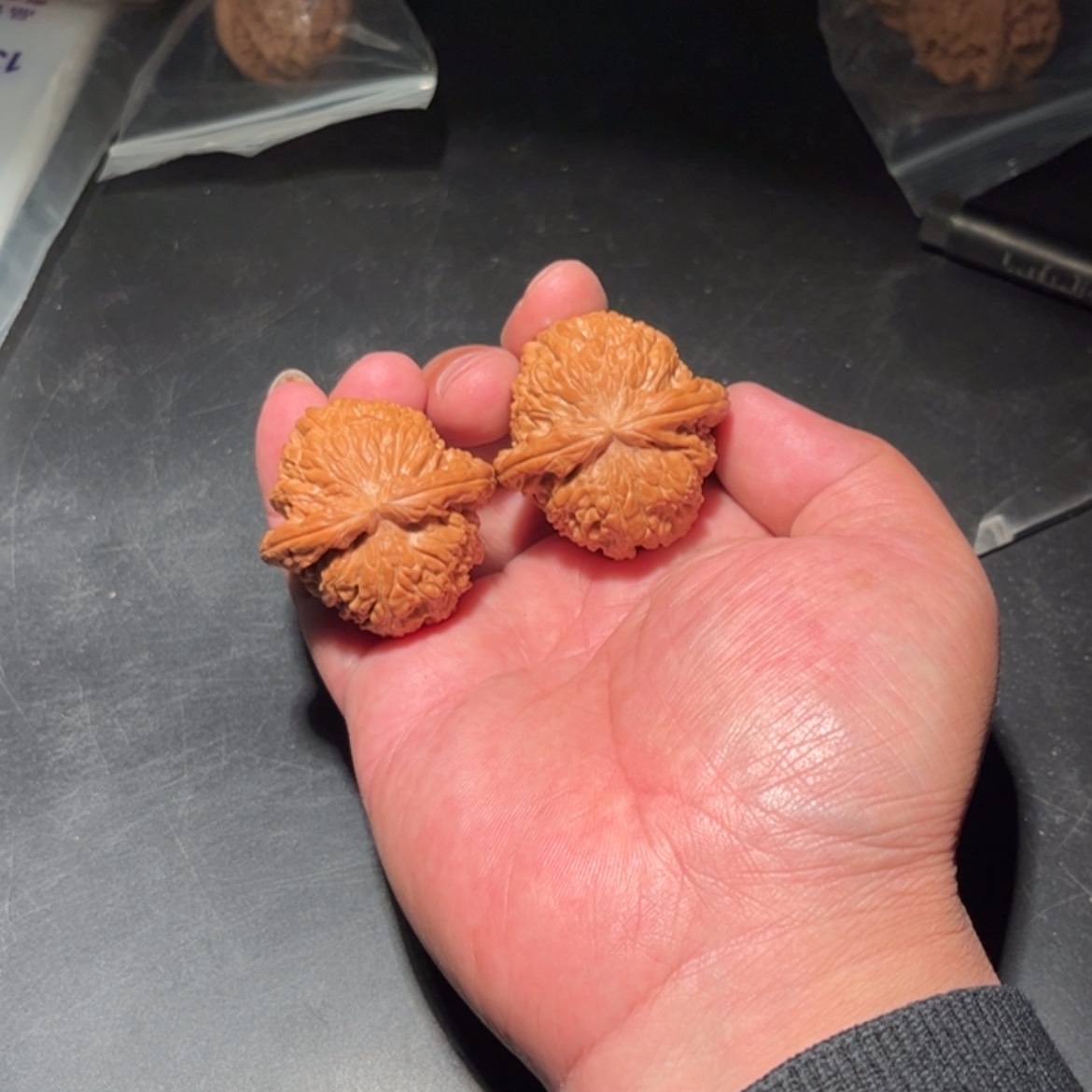 【闪购商品】柏**c文玩核桃木制手把件