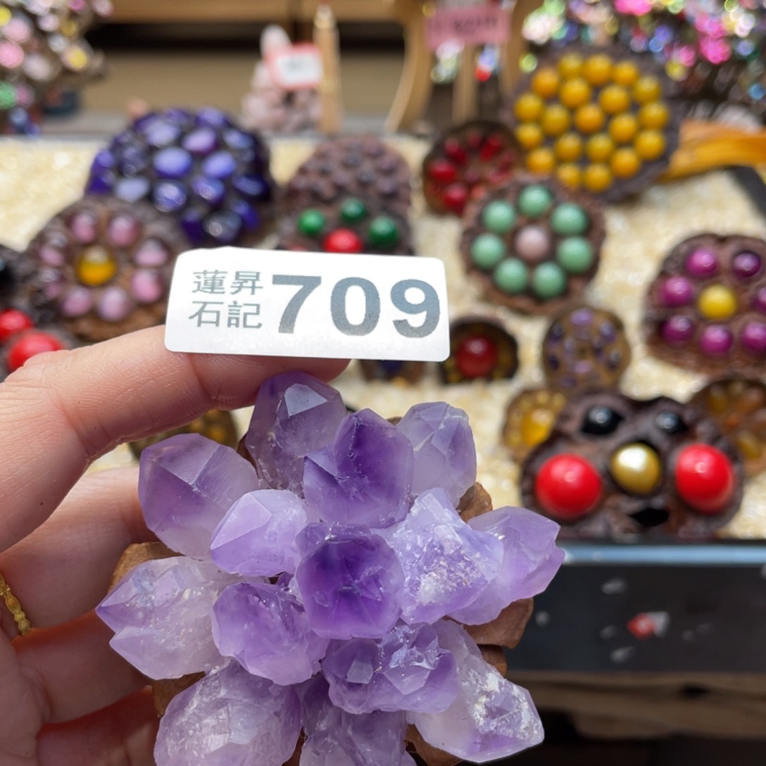 核桃木/黑胡桃（胡桃木）沙****伞709