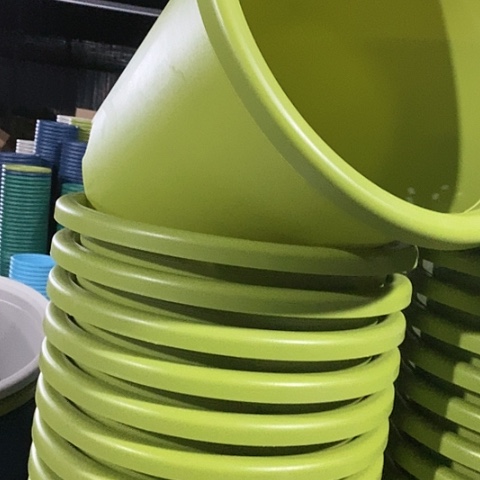 树脂四季8号微瑕果绿无托5个