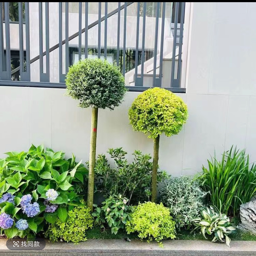 花园花镜搭配阳台花园庭院植物整体设计花境定制低维护花境