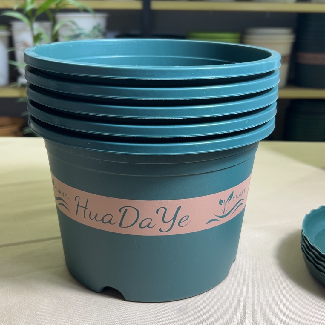 8个无托三代210矮3控根盆