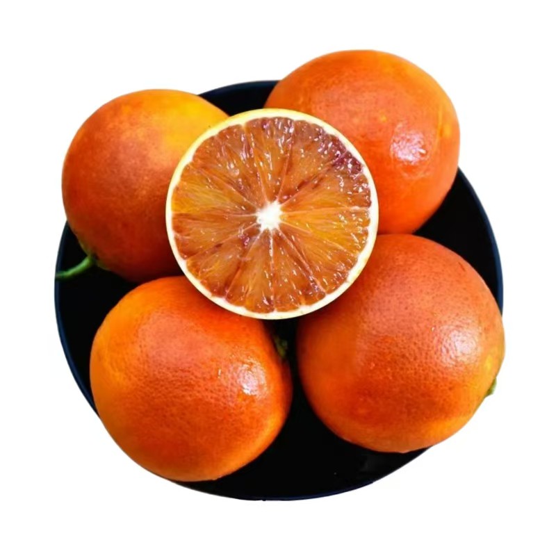 正宗四川塔科罗血橙新鲜采摘皮薄多汁自然生长带箱9-10斤