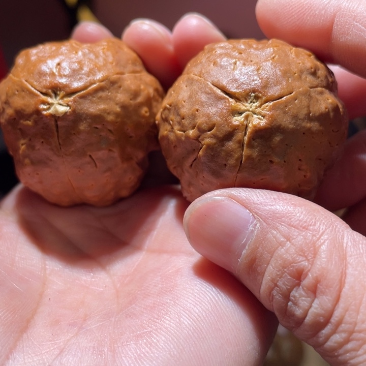 桃核把件恐龙蛋金刚菩提