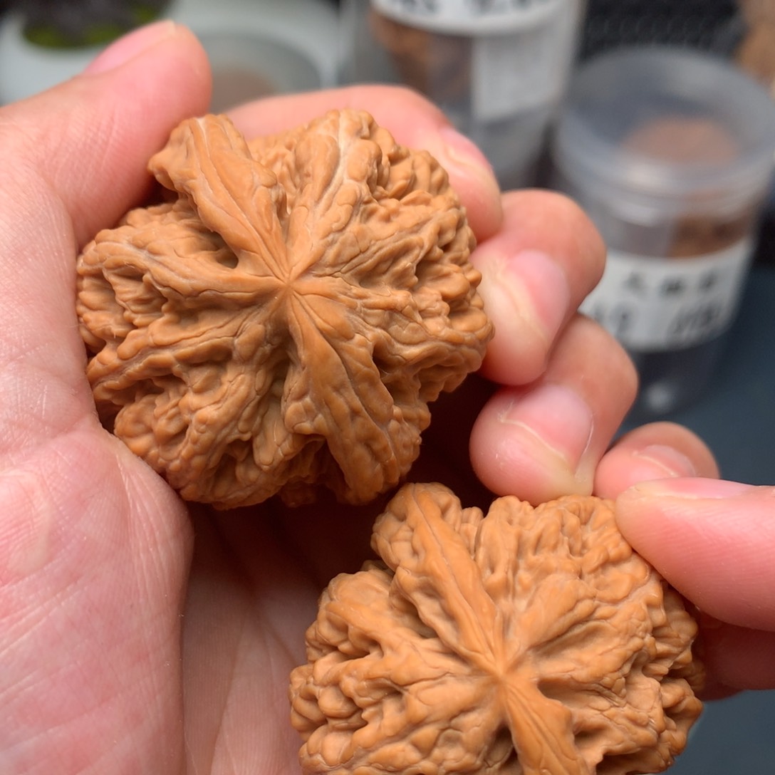 【闪购商品】桃核把件粗筋43-7171-3