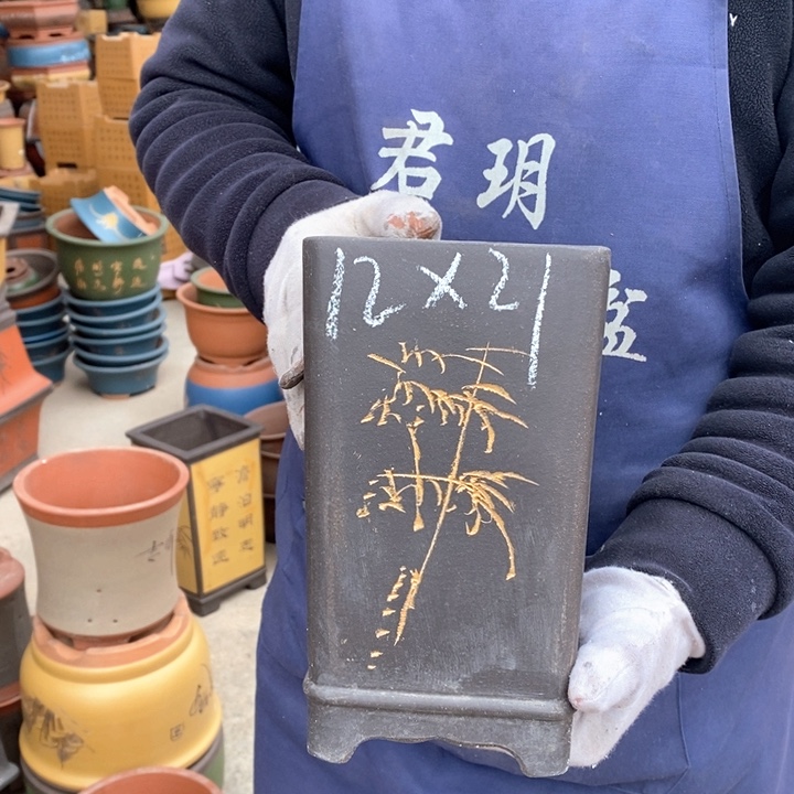 紫砂花盆盆栽花卉苗木种植