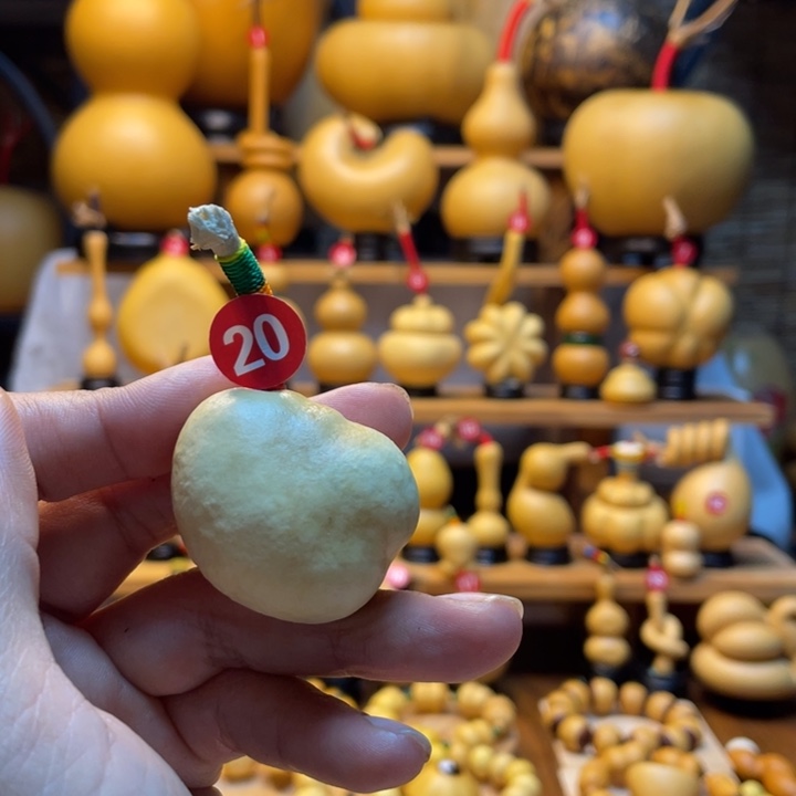 不***山天然葫芦自然生长